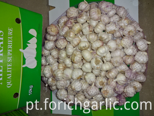 Best Quality Fresh Garlic 2019